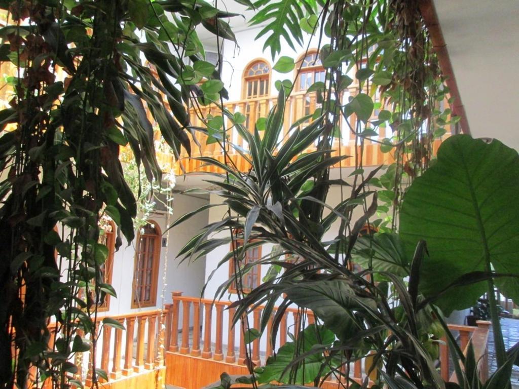 Hotel Guzman Xilitla Esterno foto