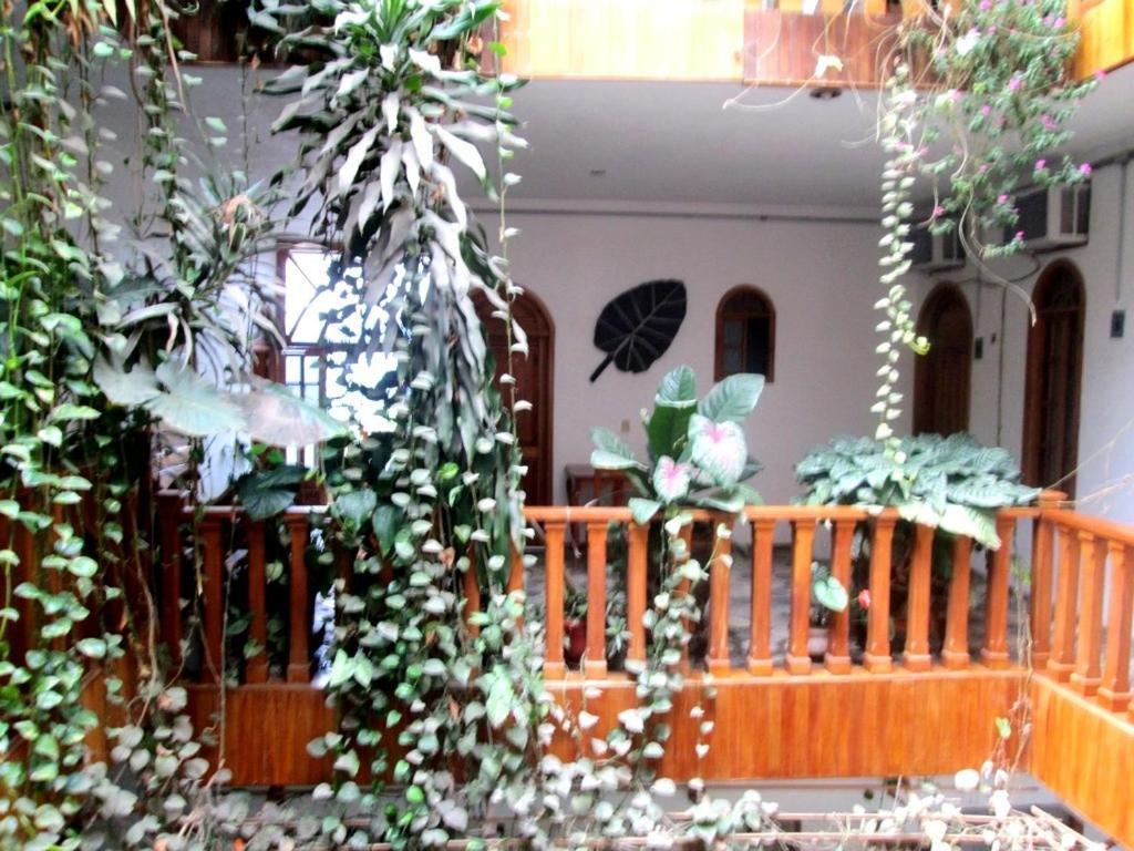 Hotel Guzman Xilitla Esterno foto